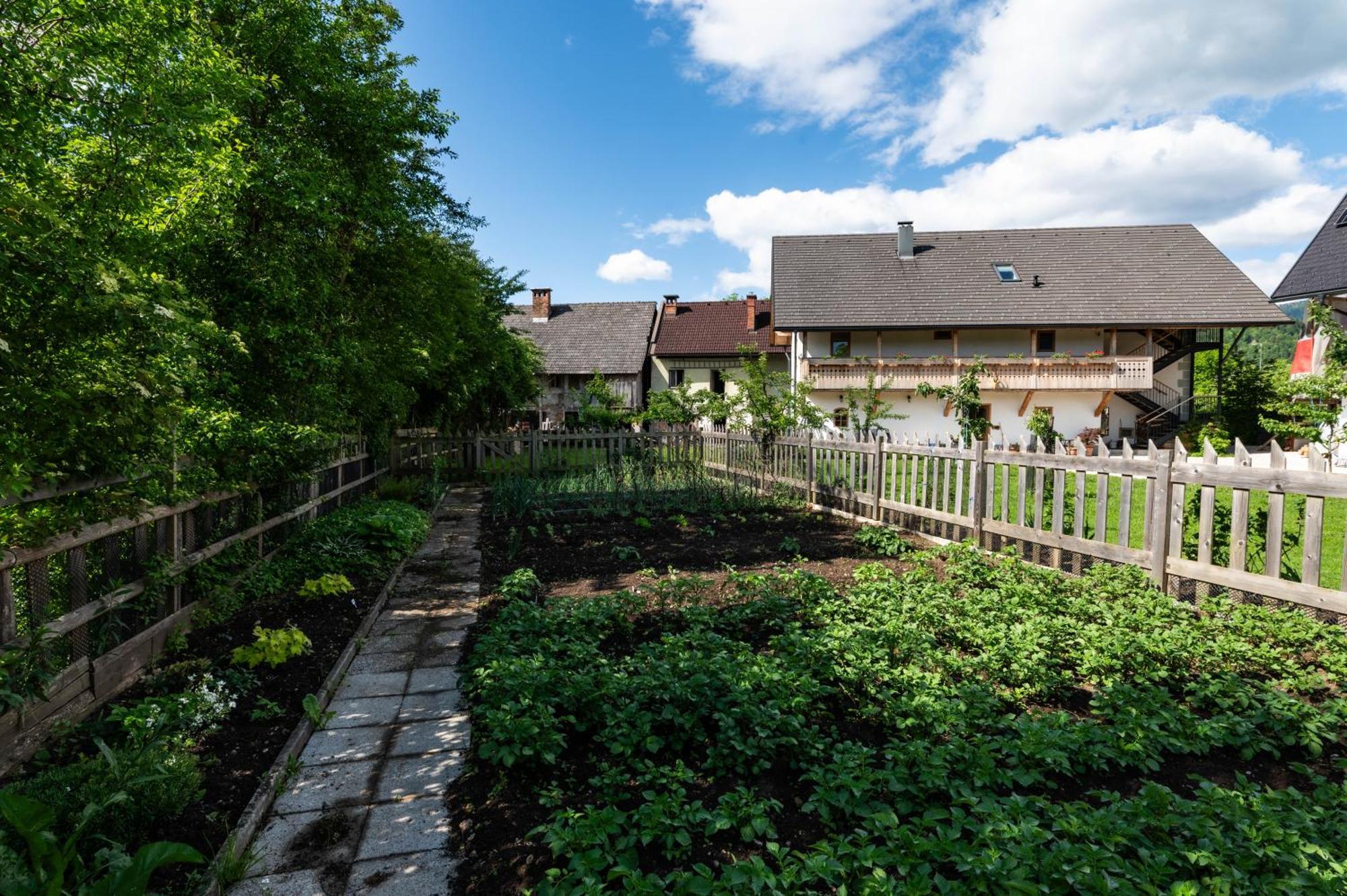 Villa Turisticna Kmetija Grabnar Bled Exterior foto