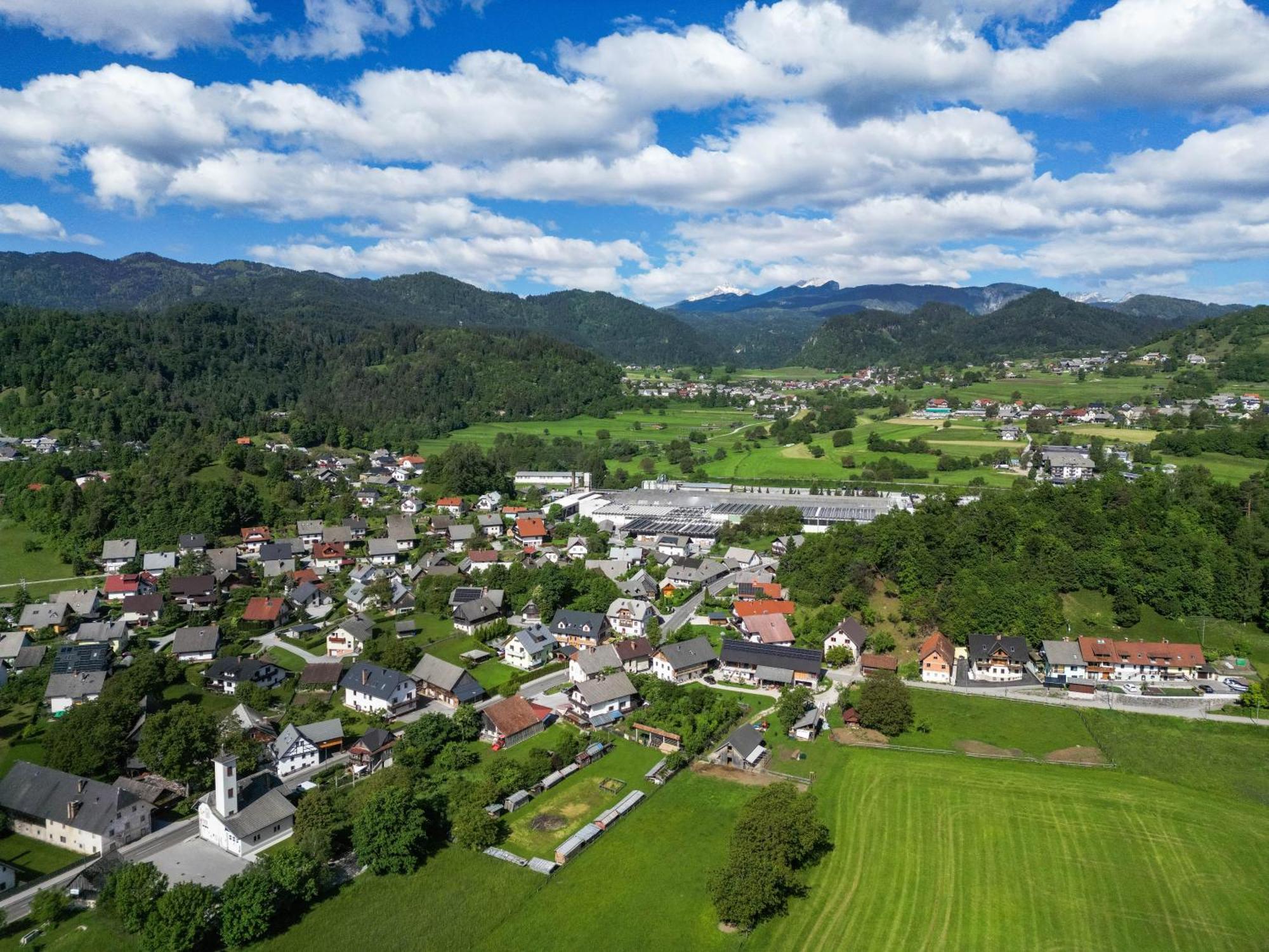 Villa Turisticna Kmetija Grabnar Bled Exterior foto